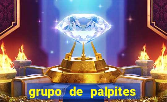 grupo de palpites de futebol whatsapp